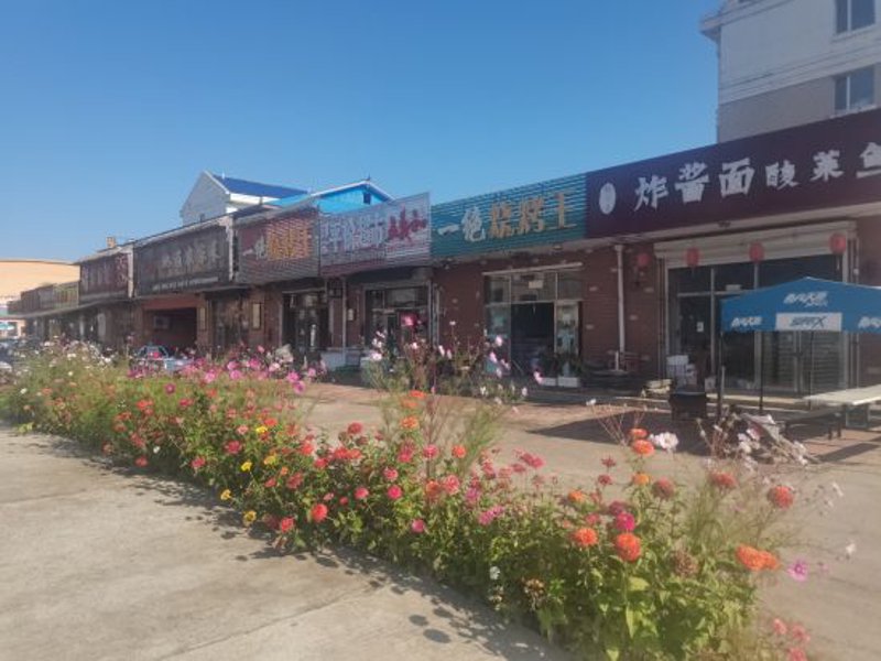 科普解读类百货商店:传统与现代的融合